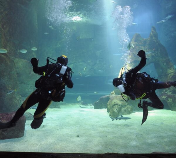 Billet Combiné Pour L’aquarium De Biarritz & La Cité De L’océan