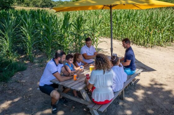 Anniversaire Au « Pop Corn Labyrinthe » À Saint-Malo (35)